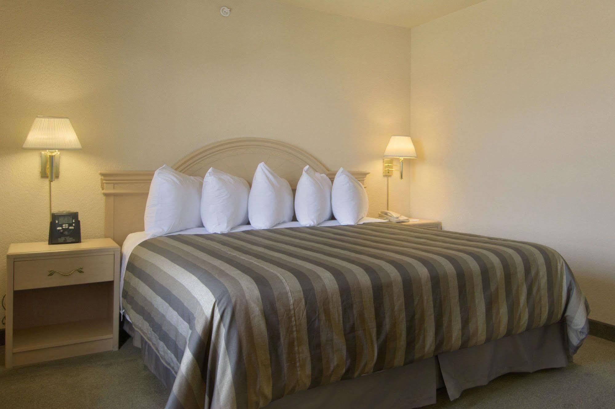 Days Inn By Wyndham Calgary Airport חדר תמונה